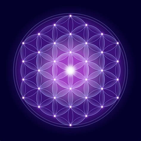 宇宙圖騰|「生命之花」The Flower Of Life